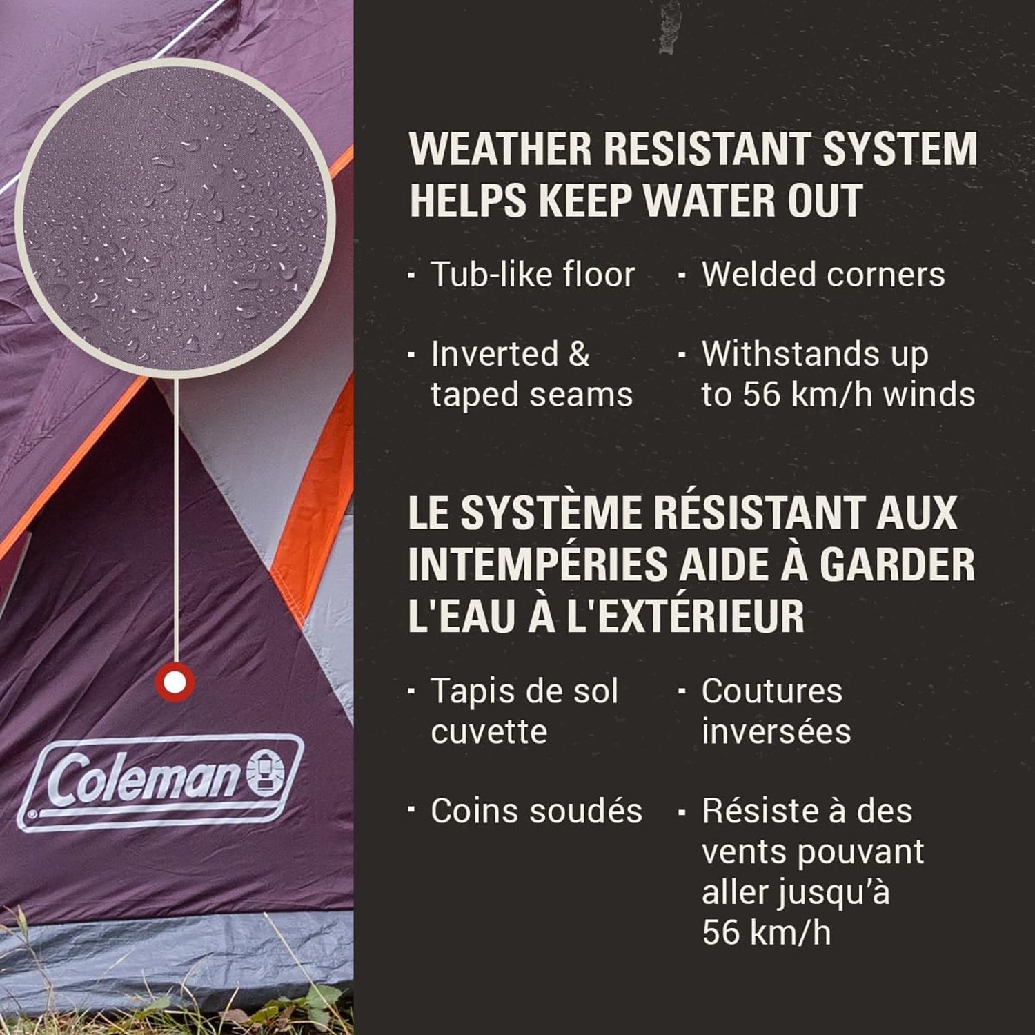 Coleman - Tente de Camping SkyDome pour 4 Personnes, Installation en 5 Minutes, Mûre - Simple Boutique