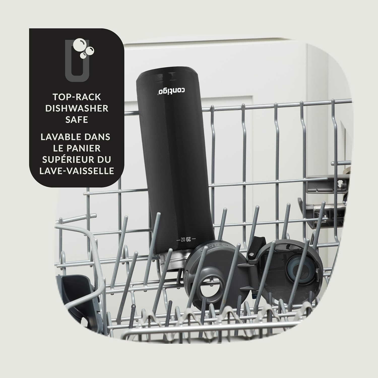 Contigo - Bouteille d'eau en Acier Inoxydable Isolé, Couvercle Anti-fuite, Sans BPA, Capacité de 591ml - Simple Boutique