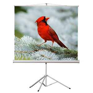 EluneVision - Toile de Projection Portable sur Trépied, Format de Définition Standard 4:3 - Simple Boutique