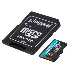 Kingston - Carte Mémoire MicroSD Canvas Go! Plus, 170R A2 U3 V30, Capacité de 256 Go - Simple Boutique