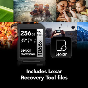 Lexar - Carte SDXC UHS-I 1066 x Professional Silver Series, Jusqu'à 160 Mo/s de Lecture, Capacité de 256GO - Simple Boutique