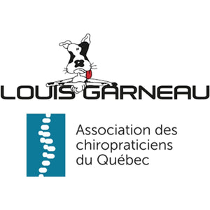 Louis Garneau - Sac à Dos Pour Enfants Préscolaire et Primaire, Dos Rembourré, 5 Pochettes, Collection Hockey - Simple Boutique