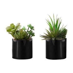 Monarch Specialties I 9554 - Plante Artificielle, 7" De Haut, Succulent, Intérieur, Faux, Faux, Table, Verdure, Mis En Pot, Ensemble De 2, Décoratif, Plantes Vertes, Pots Noirs Brillants - Simple Boutique
