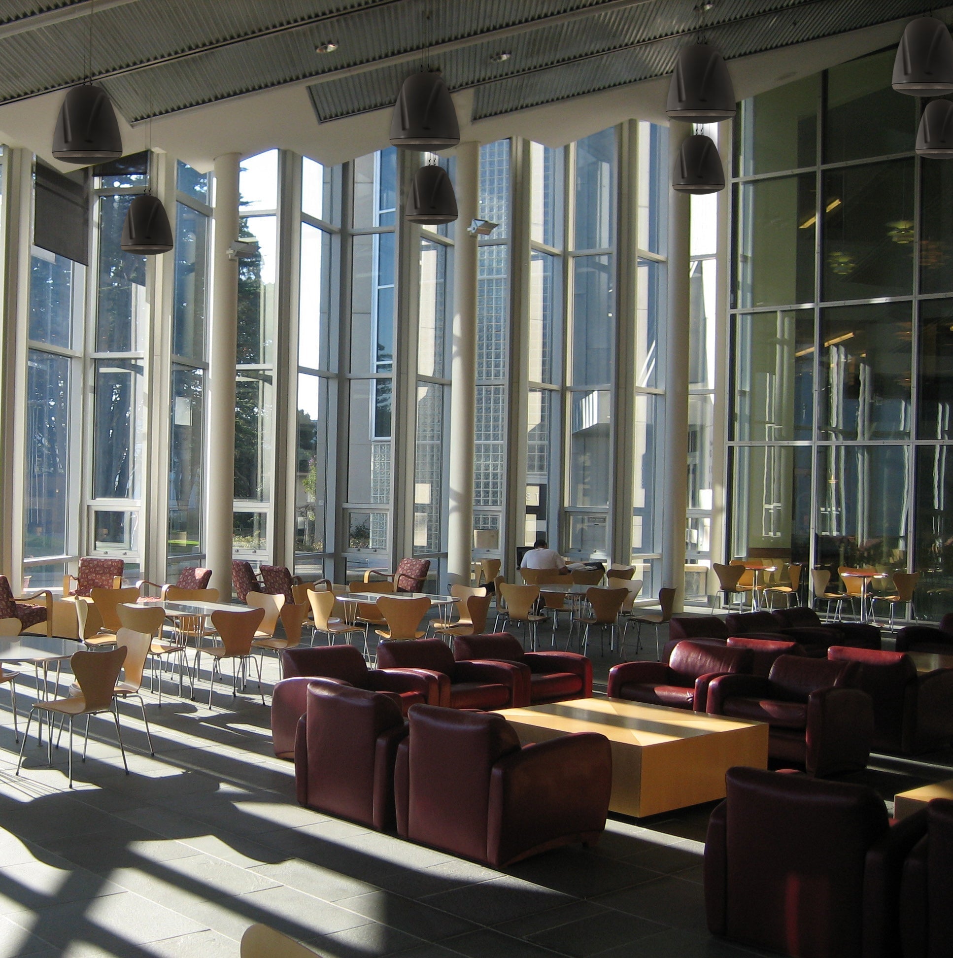 Phantom Haut-Parleur Suspendu 6.5 pouces 160 Watts 8 Ohms ou 70v/100v Noir - Simple Boutique