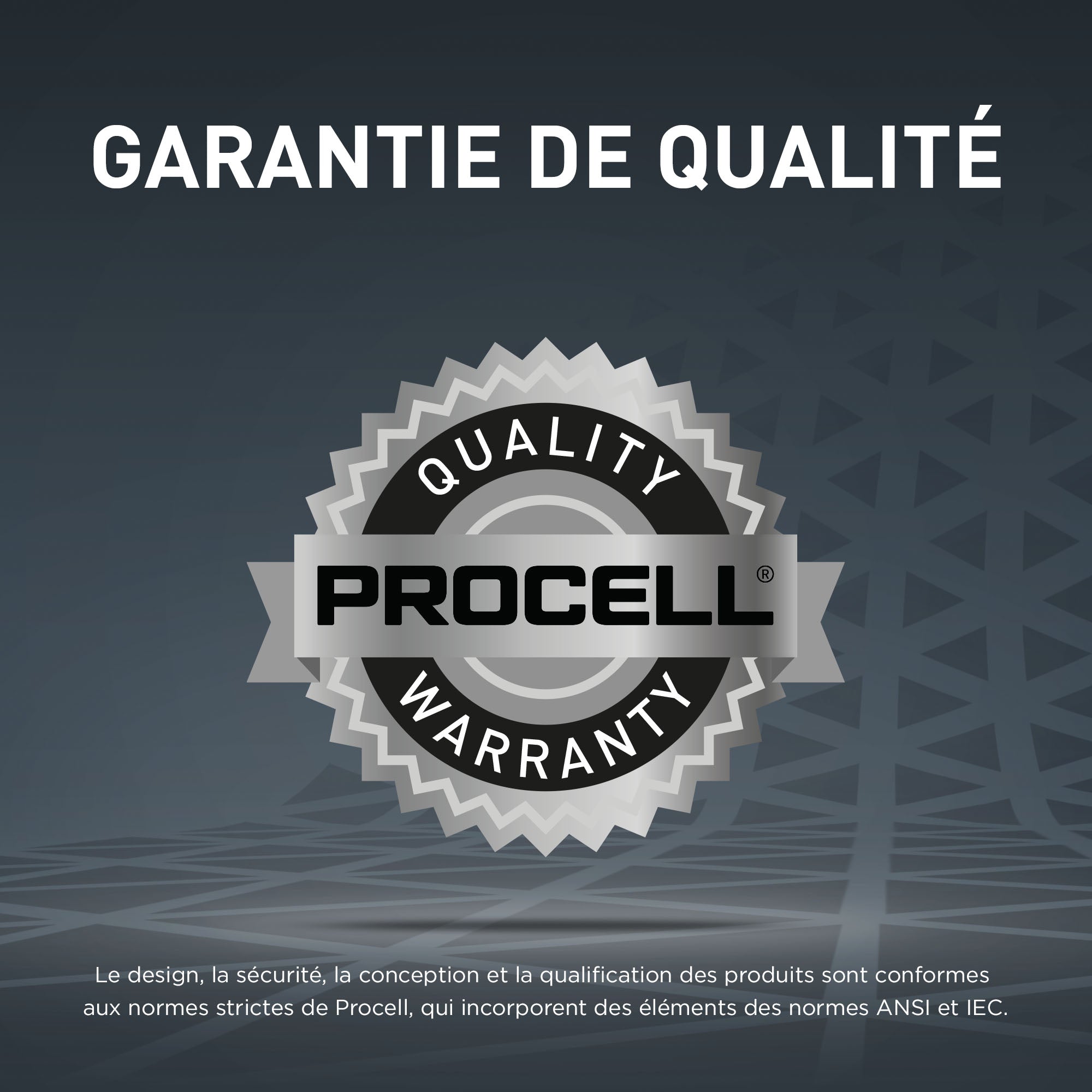 Procell Constant - Piles Alcaline Industrielles AA, Pour Appareils Professionnels, Emballage de 24 - Simple Boutique