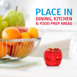 Raid - Ensemble de 2 Pièges à Mouche à Fruits, Approvisionnement de 120 Jours, Sans Insecticide - Simple Boutique