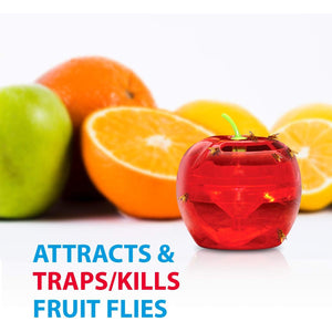 Raid - Ensemble de 2 Pièges à Mouche à Fruits, Approvisionnement de 120 Jours, Sans Insecticide - Simple Boutique