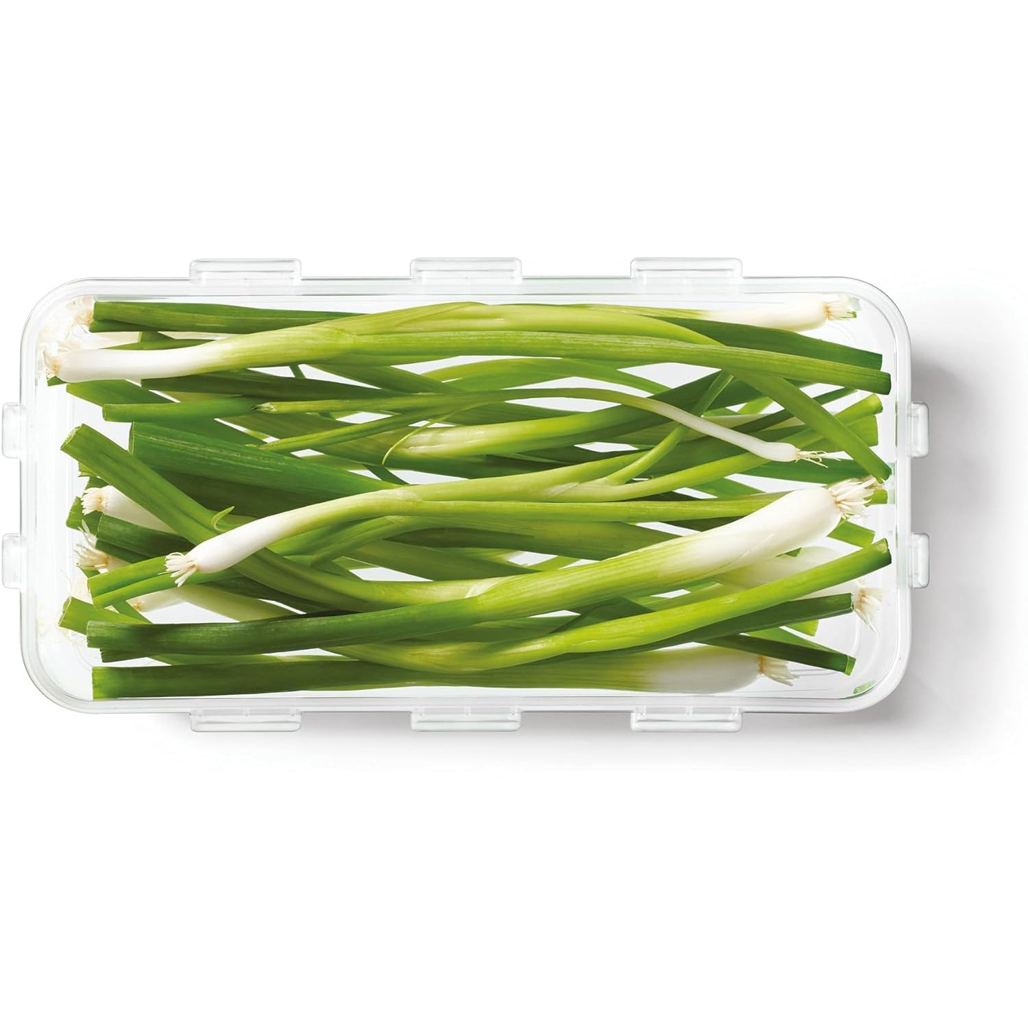 Starfrit - Ensemble de 2 Contenants pour Bacon LocknLock, Capacité de 1.6 Litre, Bleu - Simple Boutique