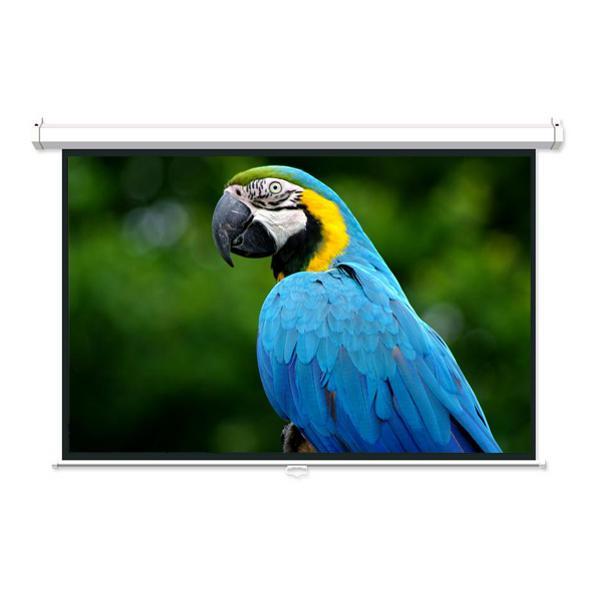 Toile de Projection 16:9 Manuelle Blanche 100" - Simple Boutique