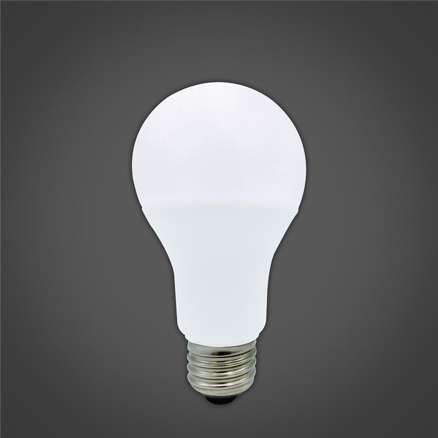 Xtricity Ampoule Intérieur/Extérieur DEL Type A/17W/120V/5000K/Lumière du Jour Grad. - Simple Boutique