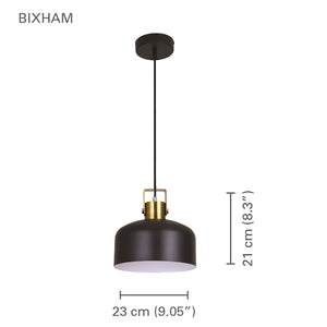 Xtricity - Luminaire Suspendu, Largeur de 9.1'', De la Collection Bixham, Noir - Simple Boutique
