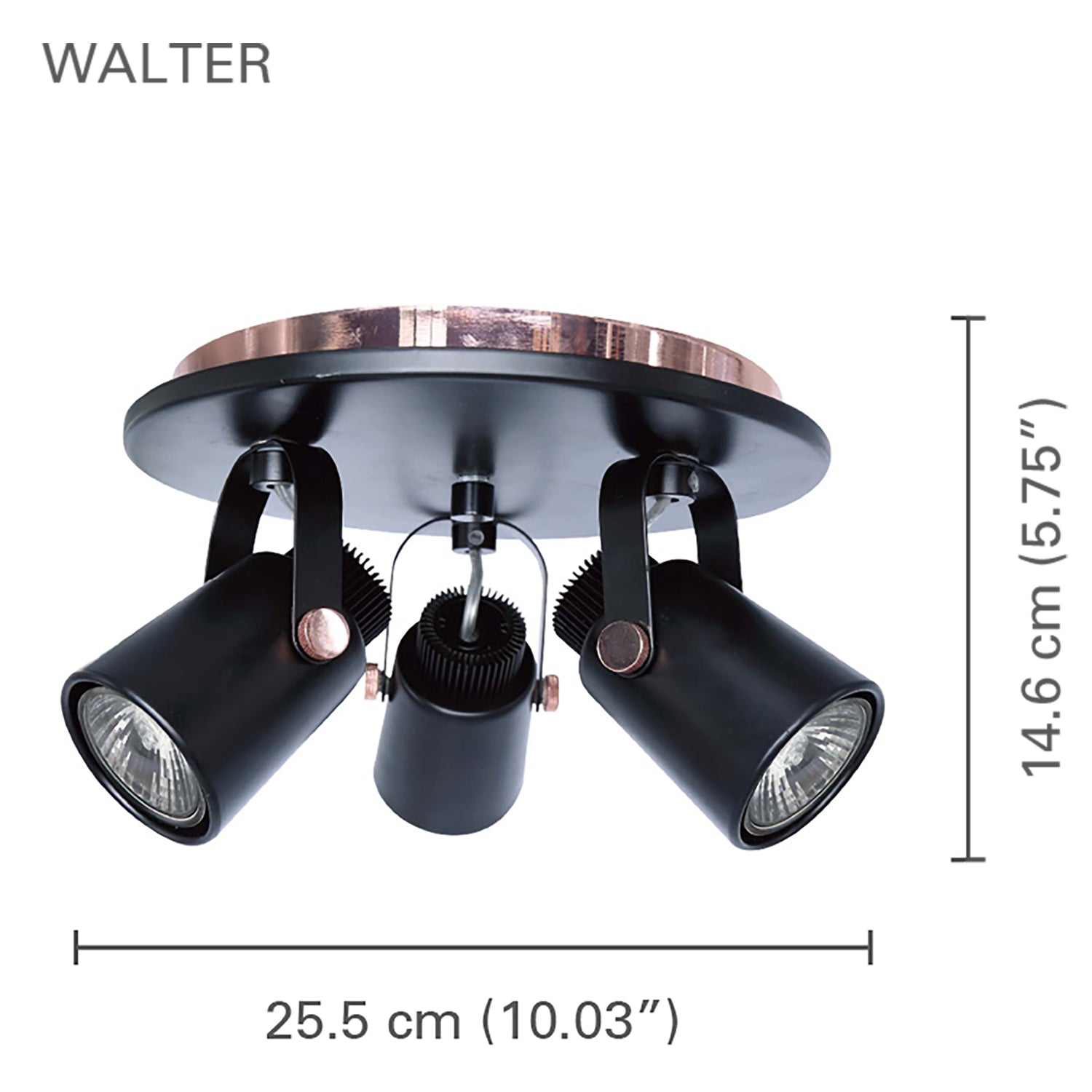 Xtricity - Plafonnier à 3 Têtes, Largeur de 10.03'', De la Collection Walter, Noir - Simple Boutique