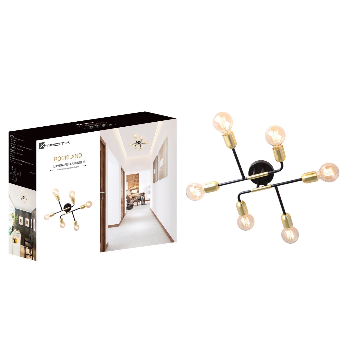 Xtricity - Plafonnier à 6 Lumières, Largeur de 18.9'', De la Collection Rockland, Noir et Doré - Simple Boutique