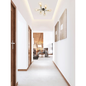 Xtricity - Plafonnier à 6 Lumières, Largeur de 18.9'', De la Collection Rockland, Noir et Doré - Simple Boutique