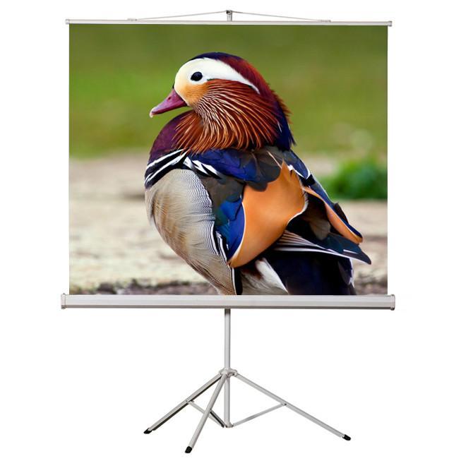 136'' 1:1 Toile de projection compacte sur trépied 96x96" B - Simple Boutique