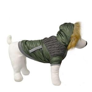 Animooos PCL-426M Parka de Retention Thermique pour Chien, Couleur Vert Olive, Grandeur Medium - Simple Boutique