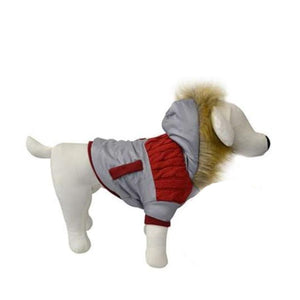 Animooos PCL-426S Parka de Retention Thermique pour Chien, Couleur Rouge, Grandeur Petit - Simple Boutique