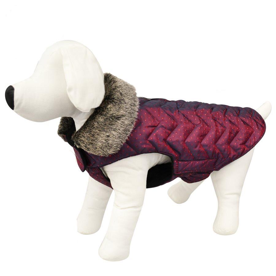 Animooos PCL832L Veste Aviateur Chien, Couleur Cerise Foncée, Grandeur Large - Simple Boutique