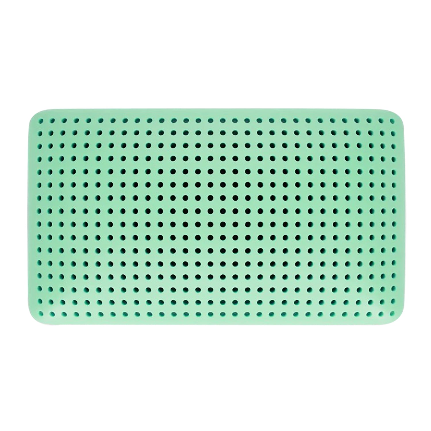 Blu Sleep - Oreiller en Mousse Mémoire Bio Aloe avec Housse, Infusé d'aloès, Grandeur King Profil Moyen - Simple Boutique