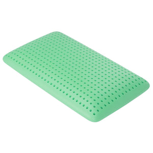 Blu Sleep - Oreiller en Mousse Mémoire Bio Aloe avec Housse, Infusé d'aloès, Grandeur Standard Profil Bas - Simple Boutique