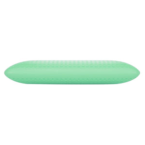 Blu Sleep - Oreiller en Mousse Mémoire Bio Aloe avec Housse, Infusé d'aloès, Grandeur Standard Profil Bas - Simple Boutique