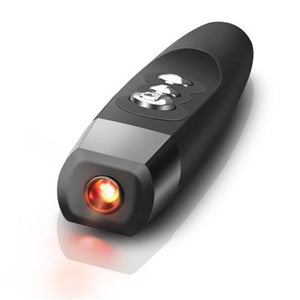 Bluebeach Présentateur Sans Fil Professionnel Avec Pointeur Laser USB Avec Étui - Simple Boutique