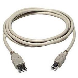 Câble USB 2.0 connecteurs A/B Mâle/Mâle 6 pieds Beige - Simple Boutique