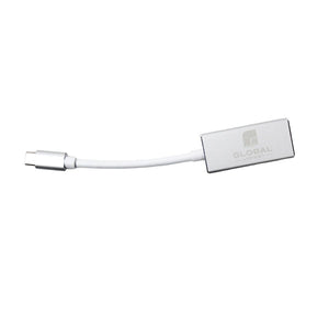 GlobalTone - Adaptateur USB Type-C Male à Mini DisplayPort (DP) Femelle, Longeur de 15cm, Gris - Simple Boutique