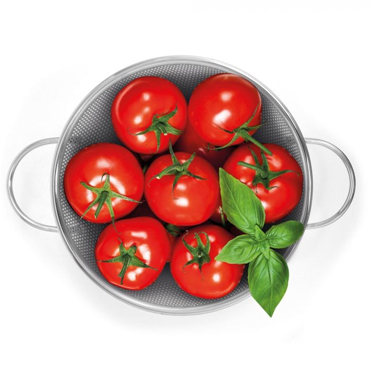 Gourmet - Passoire à Pâtes, Diamètre de 10", Va au Lave-Vaisselle - Simple Boutique