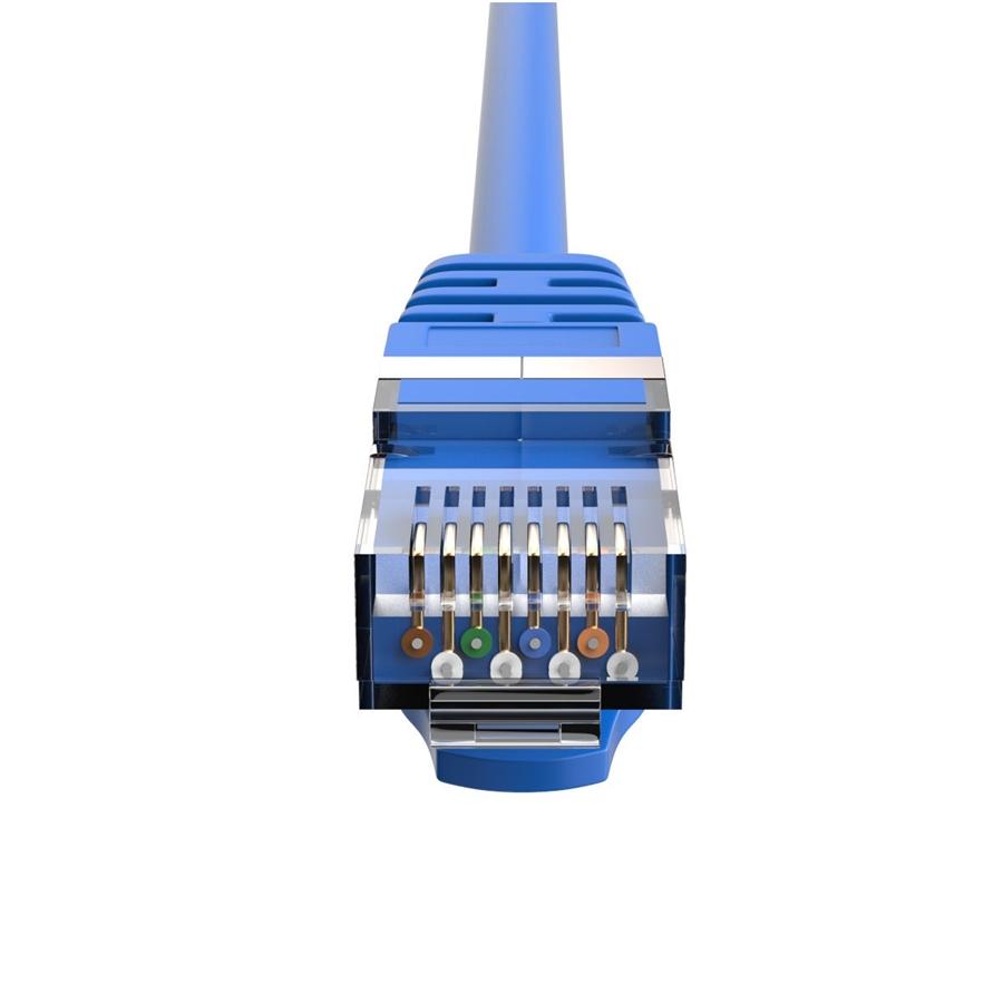 HP - Câble Réseau Ethernet Cat6 F/UTP, 250MHz, 1Gbps, RJ45, Longeur de 2 Mètre, Bleu - Simple Boutique