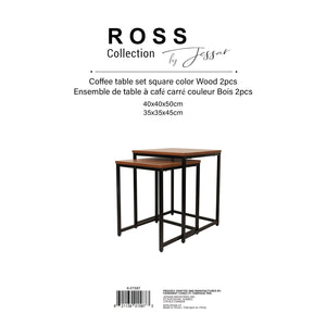 Jessar - Ensemble de 2 Tables d'appoint Carré, De la Collection Ross, Brun - Simple Boutique