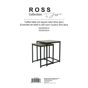 Jessar - Ensemble de 2 Tables d'appoint Carré, De la Collection Ross, Gris - Simple Boutique