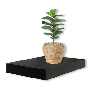Jessar - Tablette Flottante Murale Individuelle, 15.75" x 9.25" x 1.5" , Noir - Simple Boutique
