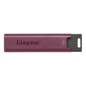 Kingston Technology - Clé USB Type-A DataTraveler Max, USB 3.2 GEN 2, Capacité de 1TB, Rose - Simple Boutique