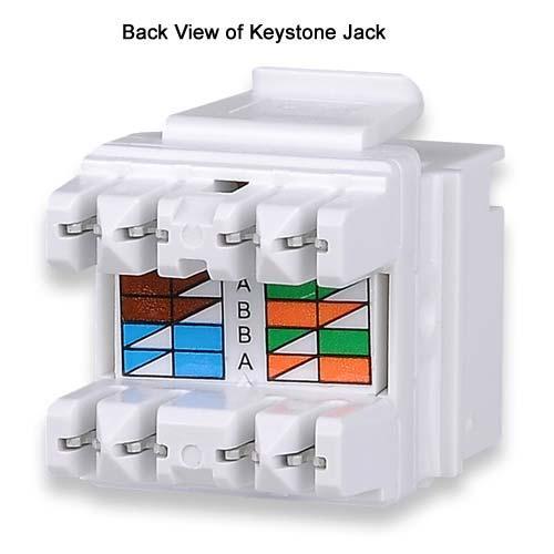 Signamax Connecteur Keystone Cat6 RJ-45 Punch Type 110 Femelle Blanc - Simple Boutique