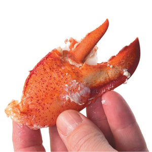 Starfrit - Ciseaux à Crustacés, Lames en Acier Inoxidable Détachables, Rouge - Simple Boutique