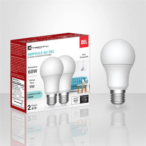 Xtricity - Ensemble de 2 Ampoules DEL à économie d'énergie, 9W, Culot E26, 5000K Lumière du Jour - Simple Boutique