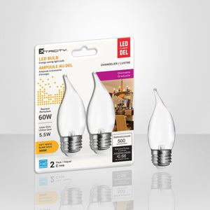 Xtricity - Ensemble de 2 Ampoule DEL Givrées Gradables à économie d'énergie, 5.5W, Culot E26, 3000K Blanc Doux - emballage - Simple Boutique