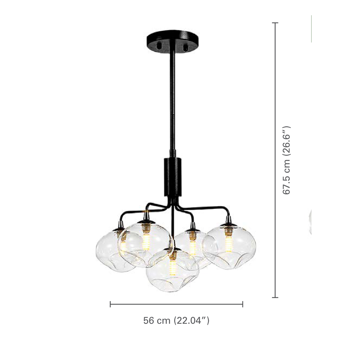 Xtricity - Luminaire Suspendu à 5 Lumières, Largeur de 22.04'', De la Collection Stanford, Noir - dimensions - Simple Boutique