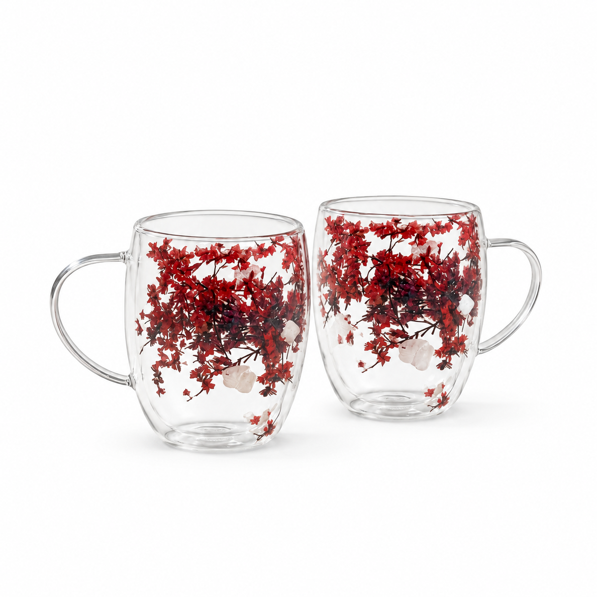 Tasses en verre à double paroi avec fleurs séchées flottantes, lot de 2 (350 ml)