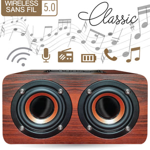 Escape Haut-Parleur Stéréo Sans Fil en Bois 6 W avec Radio FM et Microphone, Bois foncé - Simple Boutique