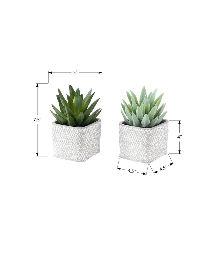 I 9363 - Plante Artificielle, Ensemble De 2, 8'' De Haut, Succulent, Table, Pots En Ciment Gris, Contemporain, Moderne - Simple Boutique