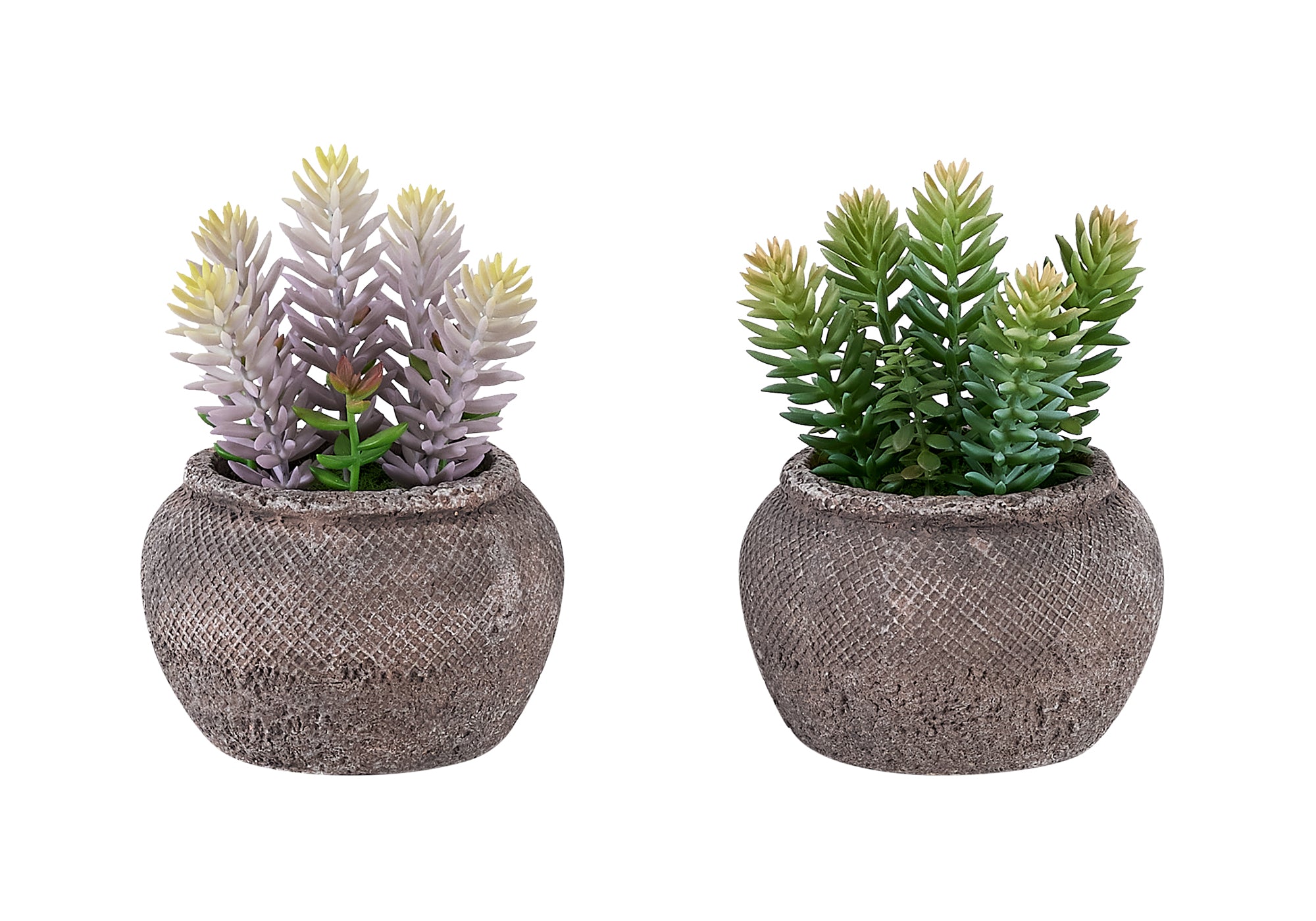 I 9364 - Plante Artificielle, Ensemble De 2, 8'' De Haut, Succulent, Table, Pots En Ciment Brun, Contemporain, Moderne - Simple Boutique