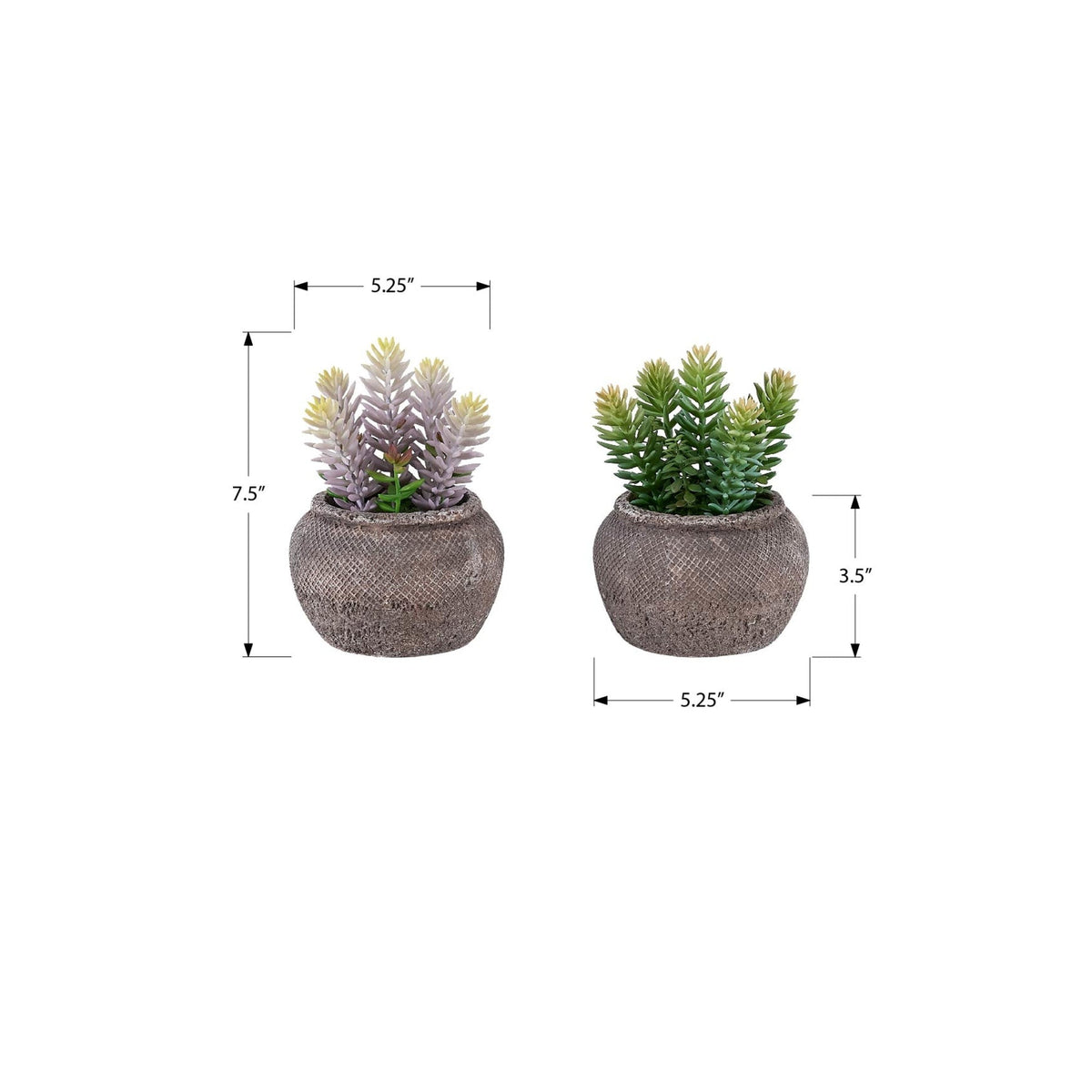 Monarch Specialties I 9364 - Plante Artificielle, Ensemble De 2, 8'' De Haut, Succulent, Table, Pots En Ciment Brun, Contemporain, Moderne - Simple Boutique