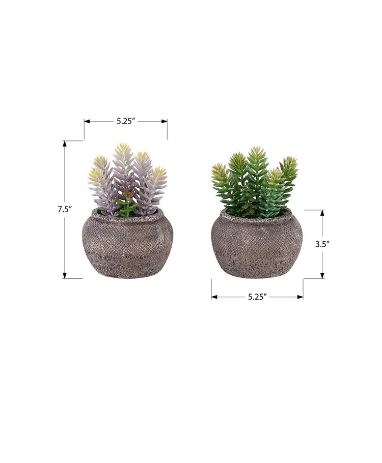 I 9364 - Plante Artificielle, Ensemble De 2, 8'' De Haut, Succulent, Table, Pots En Ciment Brun, Contemporain, Moderne - Simple Boutique
