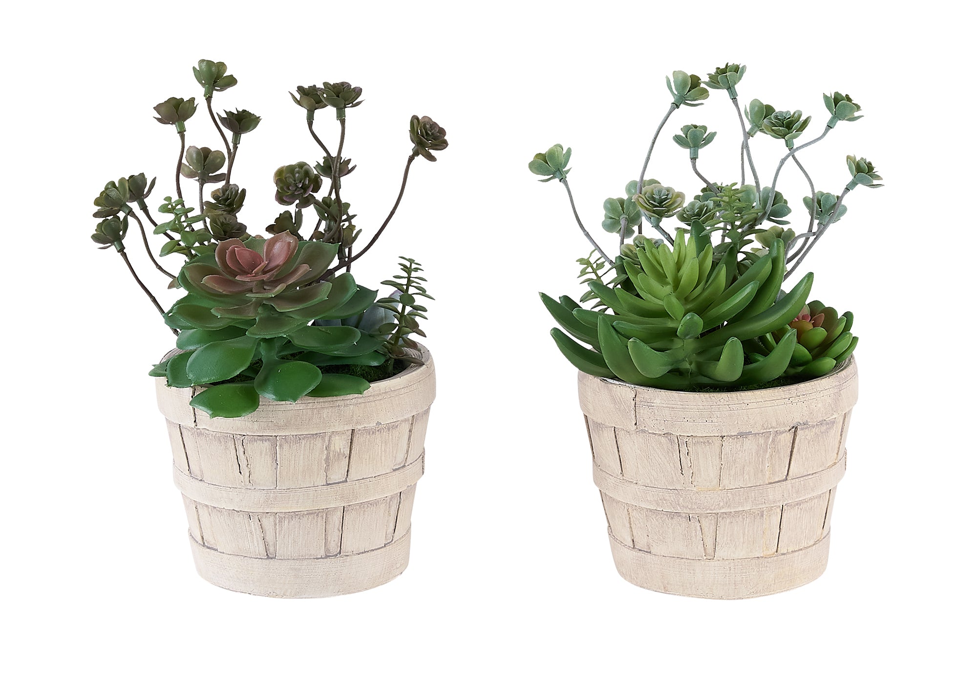 I 9365 - Plante Artificielle, Ensemble De 2, 9'' De Haut, Succulent, Table, Pots En Ciment Beige, Contemporain, Moderne - Simple Boutique
