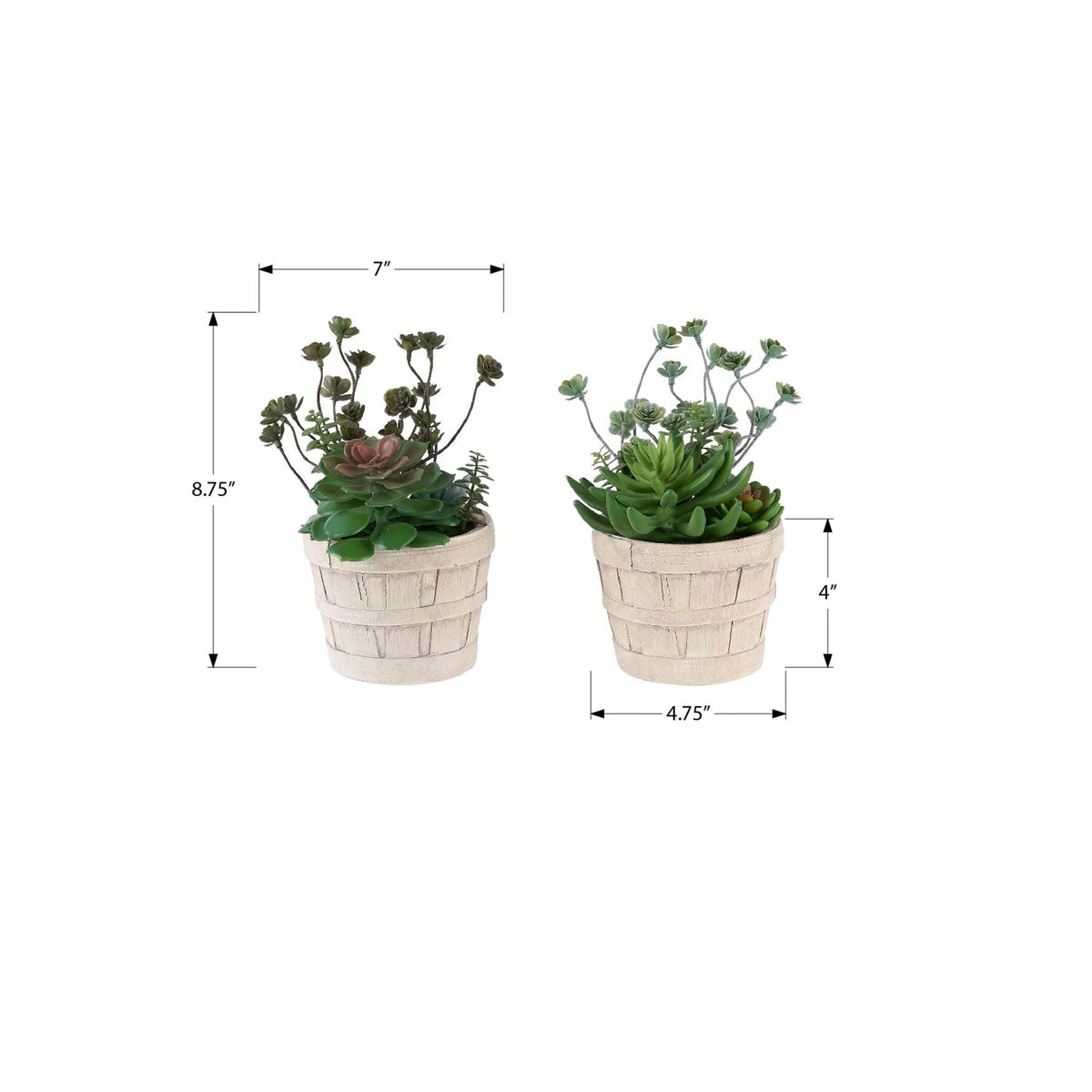Monarch Specialties I 9365 - Plante Artificielle, Ensemble De 2, 9'' De Haut, Succulent, Table, Pots En Ciment Beige, Contemporain, Moderne - Simple Boutique