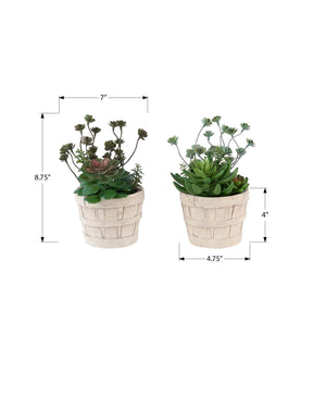 I 9365 - Plante Artificielle, Ensemble De 2, 9'' De Haut, Succulent, Table, Pots En Ciment Beige, Contemporain, Moderne - Simple Boutique
