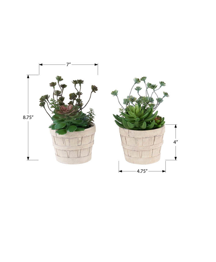 I 9365 - Plante Artificielle, Ensemble De 2, 9'' De Haut, Succulent, Table, Pots En Ciment Beige, Contemporain, Moderne - Simple Boutique