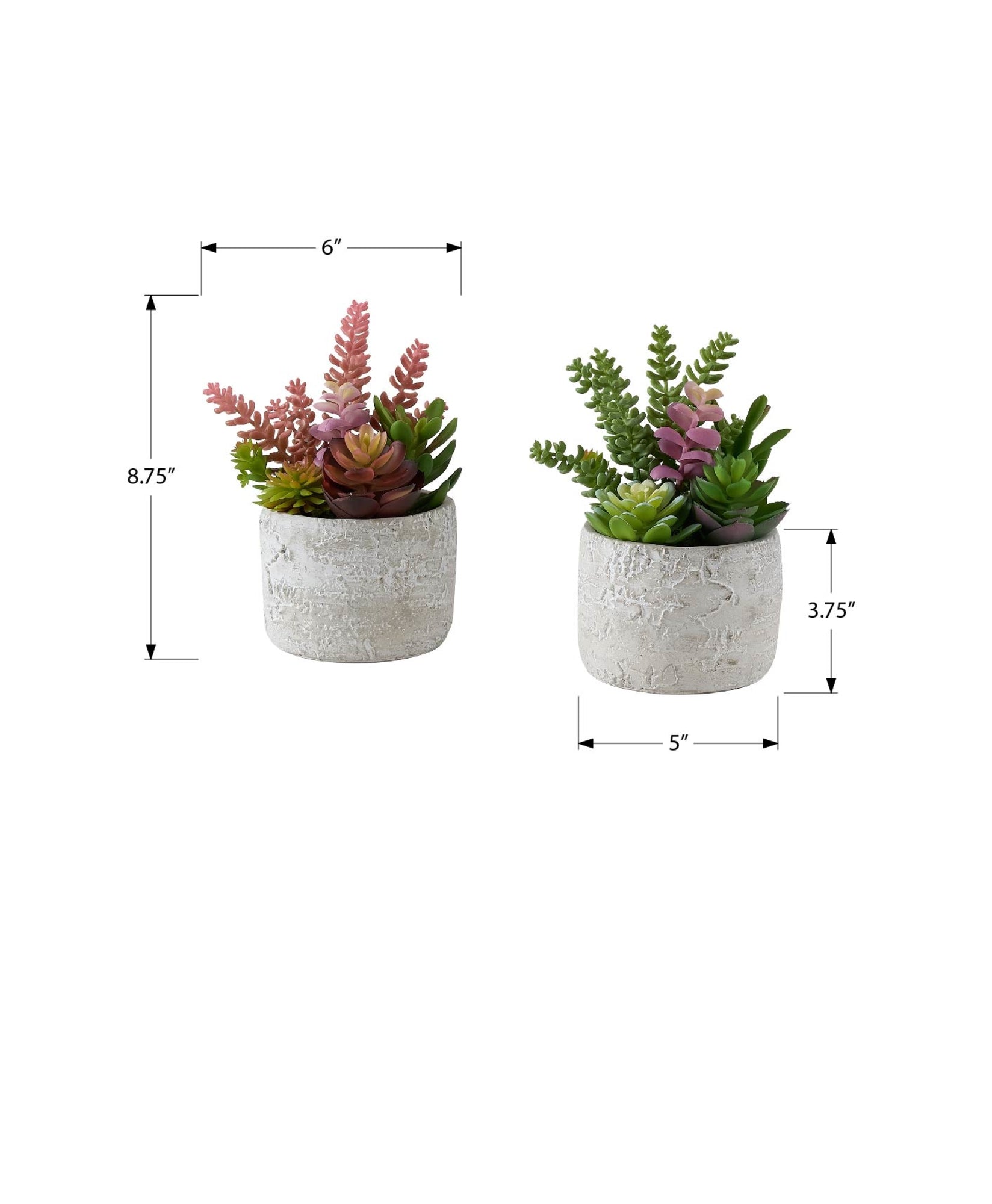 I 9366 - Plante Artificielle, Ensemble De 2, 9'' De Haut, Succulent, Table, Pots En Ciment Gris, Contemporain, Moderne - Simple Boutique